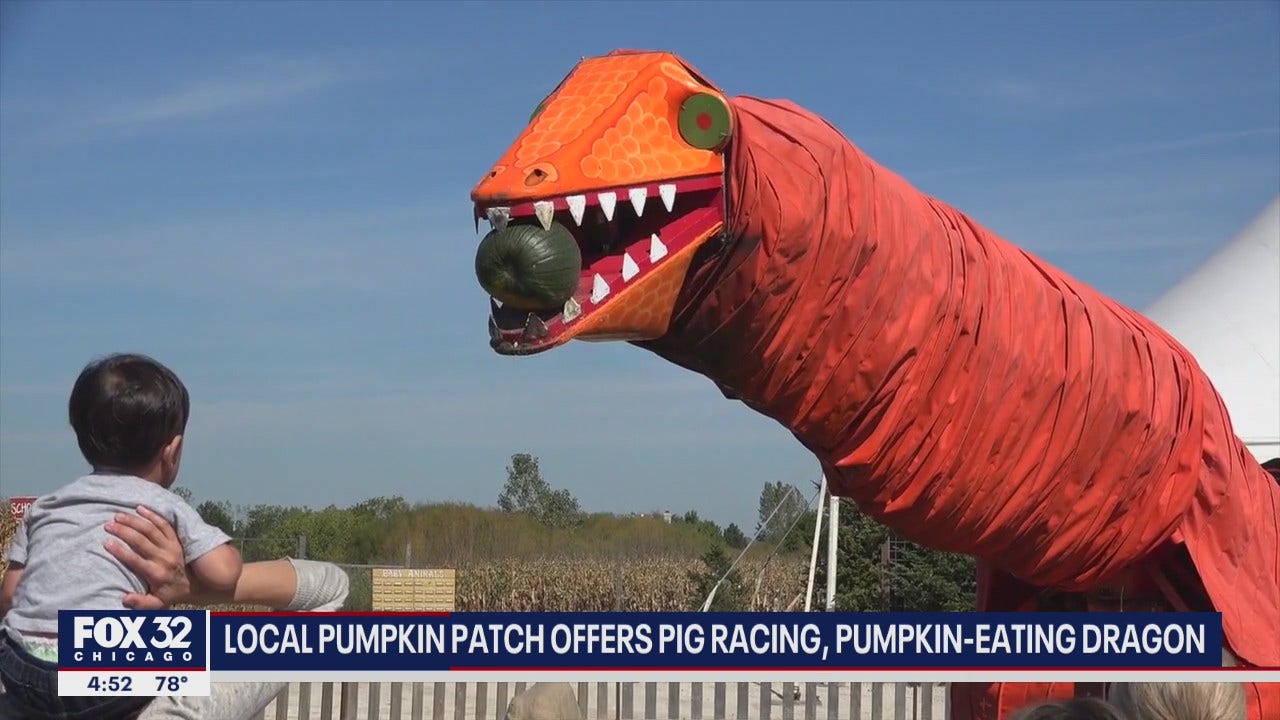 Best things about Jacob Goebbert? (local pumpkin patch review)