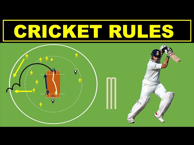 Little Cricket: What Is It? (Simple Guide for Beginners)