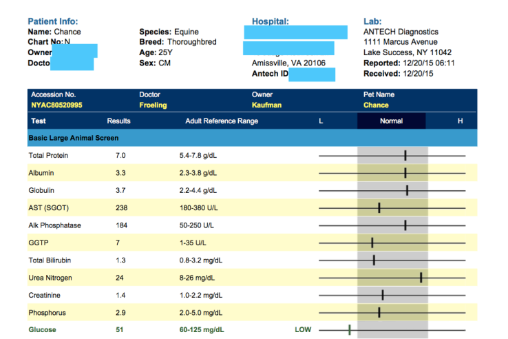 Decoding Bloodwork Results EPM Horses (Learn What to Look For!)