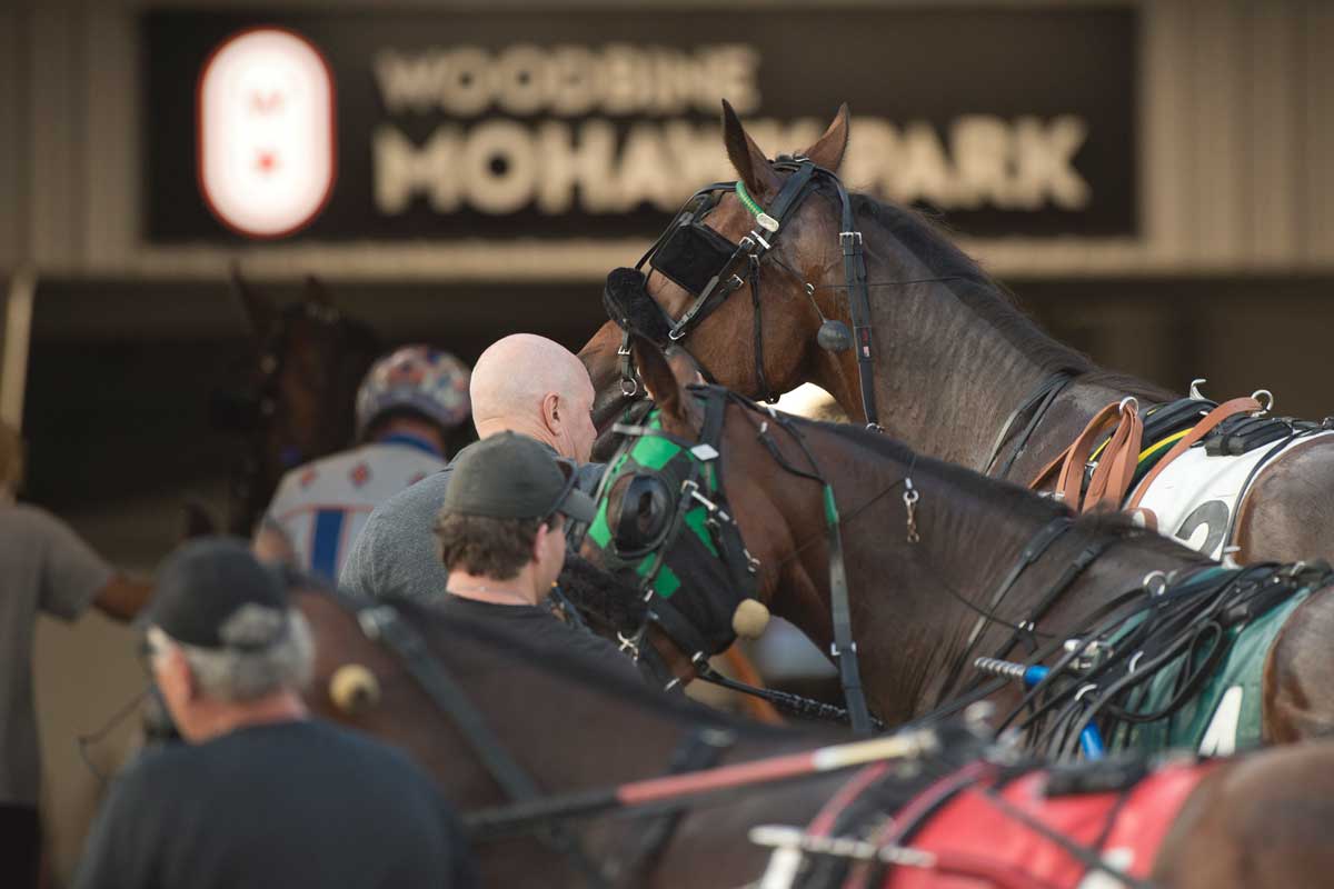 What are the best mohawk picks for tonight? Here are the key horses you should watch closely.