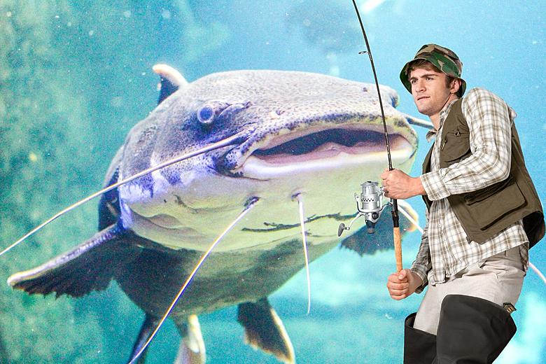 Was Jess Catfish ever caught? (The latest updates and facts on the case)