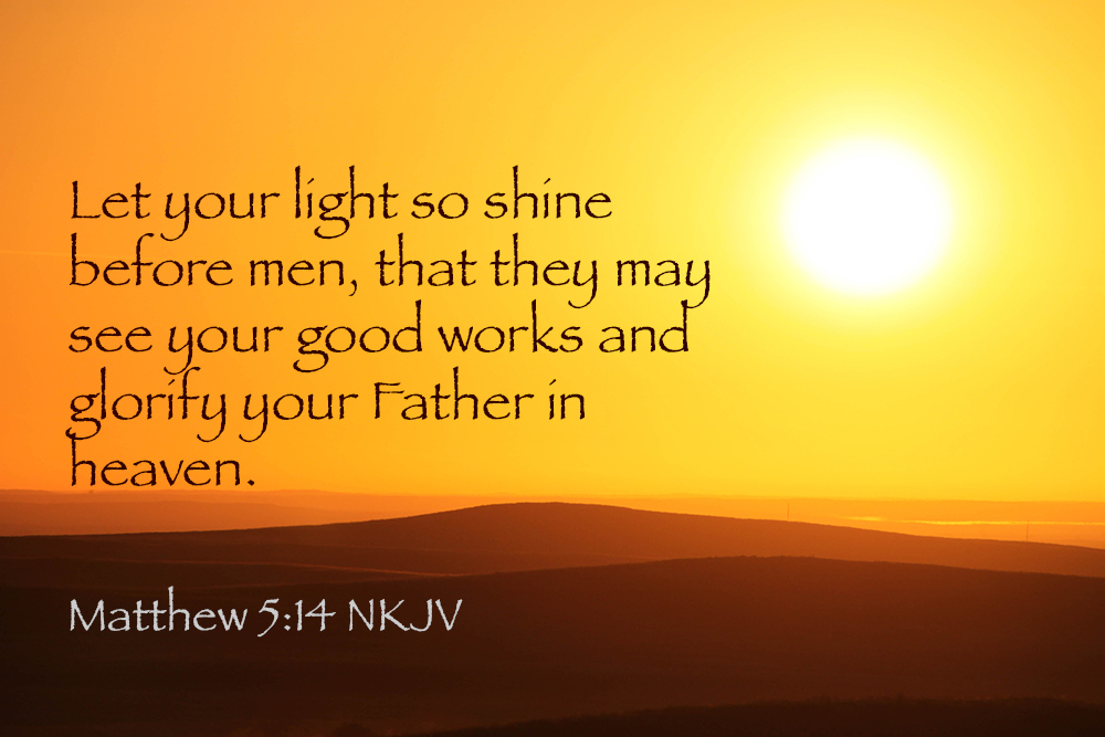 Bad Business Shines a Light on What Not to Do! Learn Now
