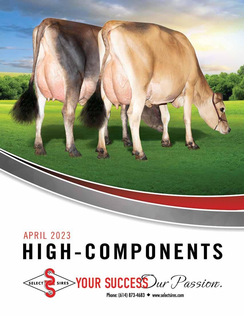 Need Jersey Bull Pictures? Check Out Our Great Selection