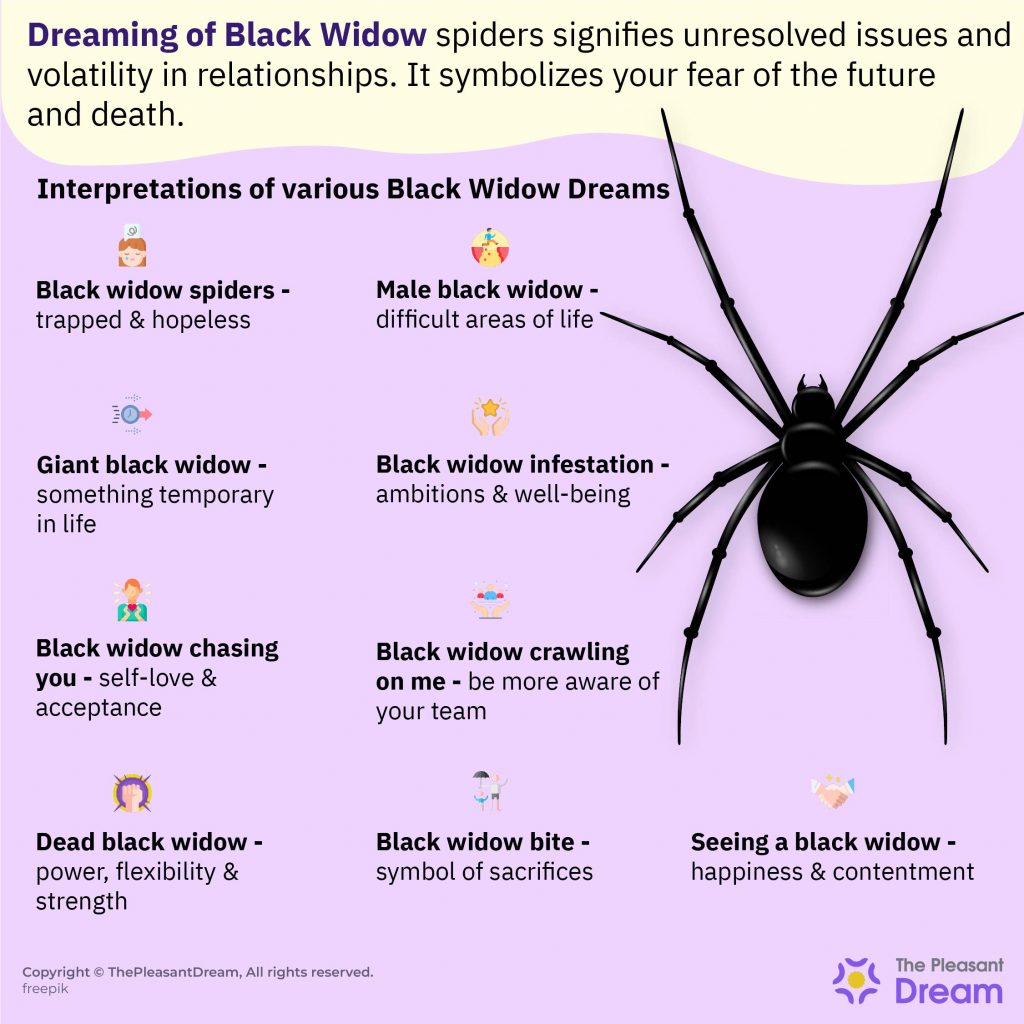 Black Widow Dream Meaning: Is It a Bad Sign or a Warning?