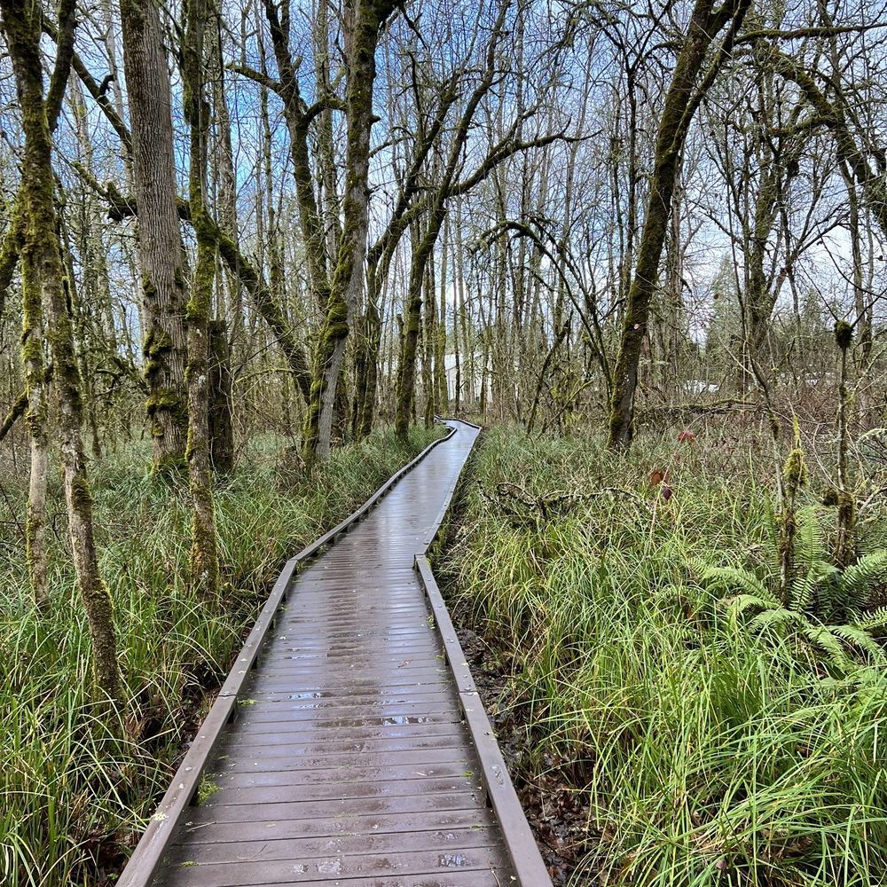 Living in Tigard Woods: Explore the Best Local Parks and Trails.