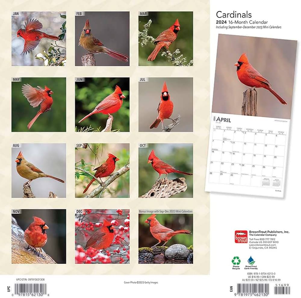 Cardinal Calendar 2024: Where to Buy & What to Look For.
