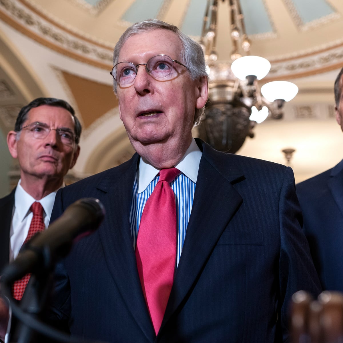 Old White Male in Politics: Influence and Representation Explored