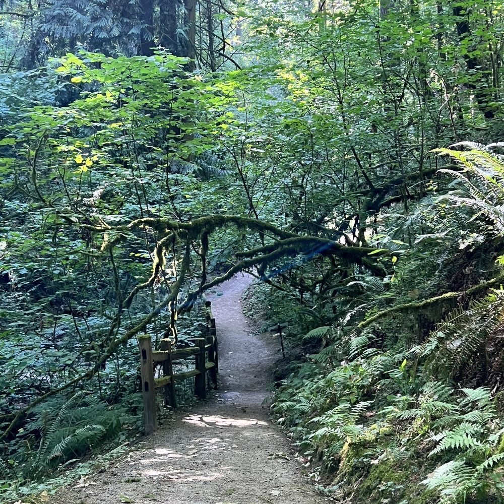 Living in Tigard Woods: Explore the Best Local Parks and Trails.