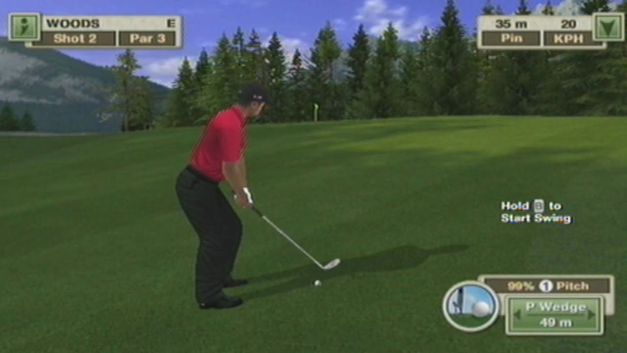 Tiger Woods 2010 Wii: Easy Gameplay Guide & Tips!