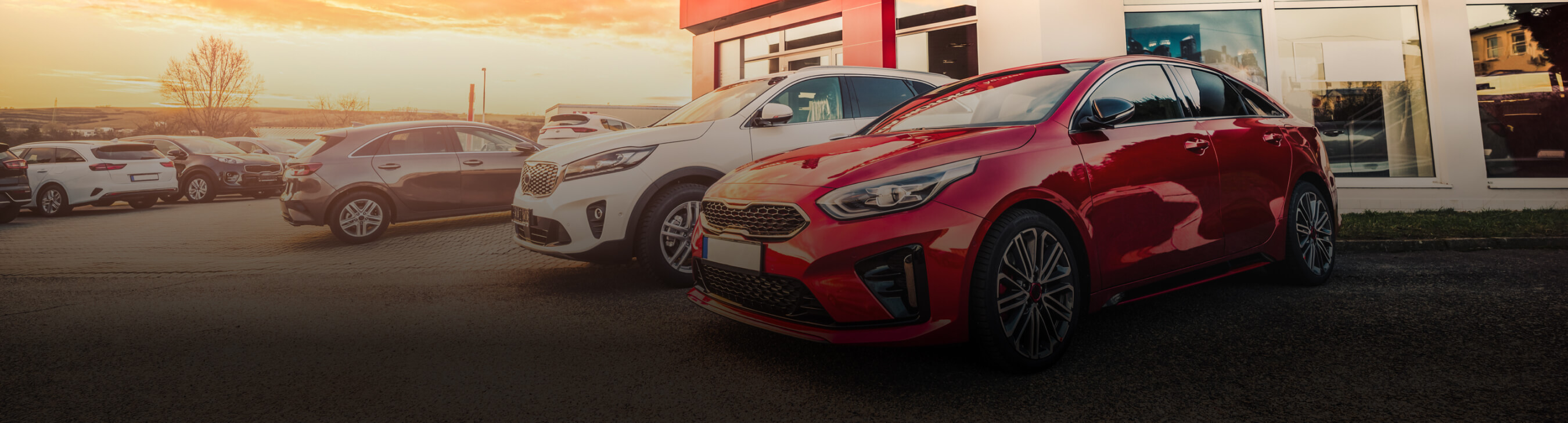 Hot Car Models and Trends 2024: Whats Popular? What to expect in the car market