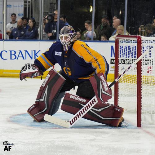 Who is Tyler Parks Hockey? Get the Latest Updates(Player profile, team & more)