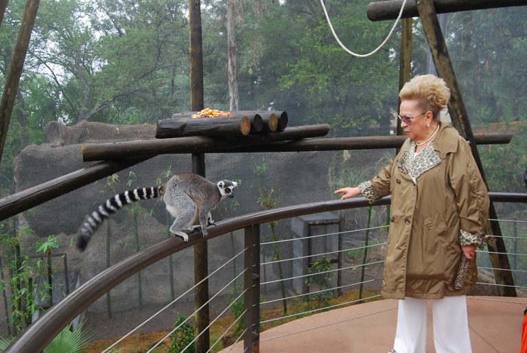 How can you preview the zoo experience? View these beautiful zoologico guadalajara photos online easily.