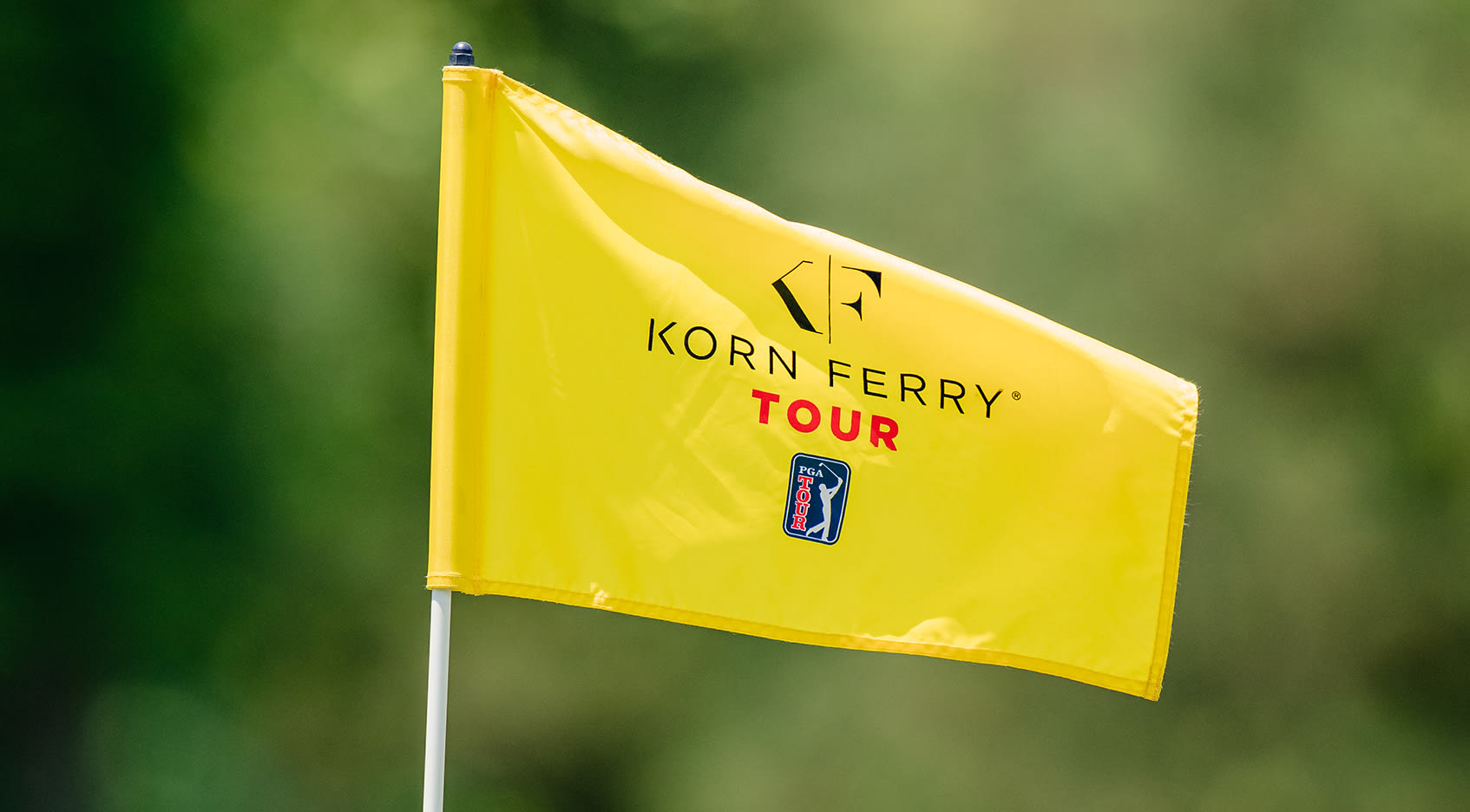 How can I check the current Korn Ferry standings? Find the most up to date rankings right here easily.