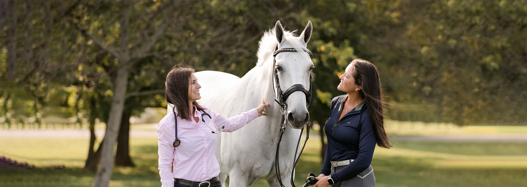 Where can I find more on Finder the horse? Check out these simple resources for his full biography.