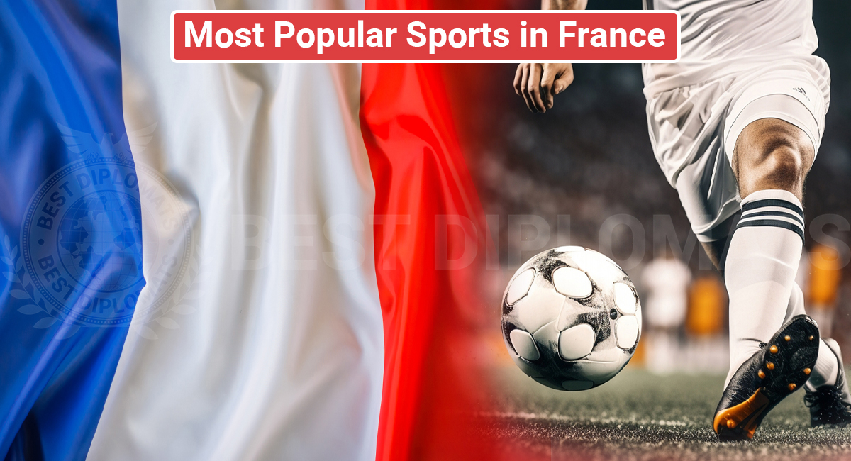 Which France sports teams should you really follow? Discover the biggest names in French sports today!
