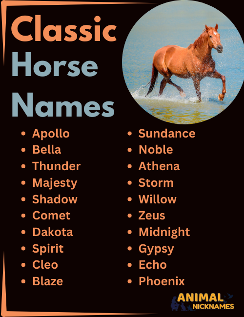 What are some lucky horse names for races? Get inspired by these powerful suggestions quickly.
