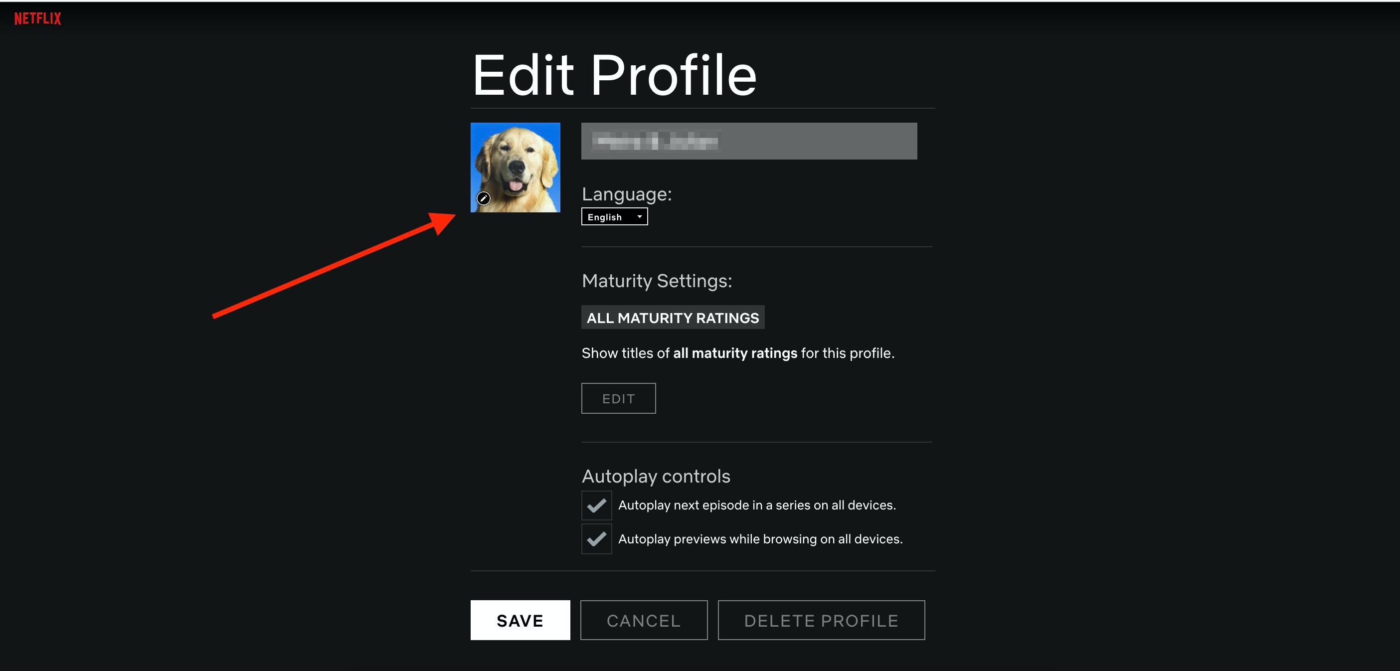 Netflix Profile Change: Managing Your Primary Account