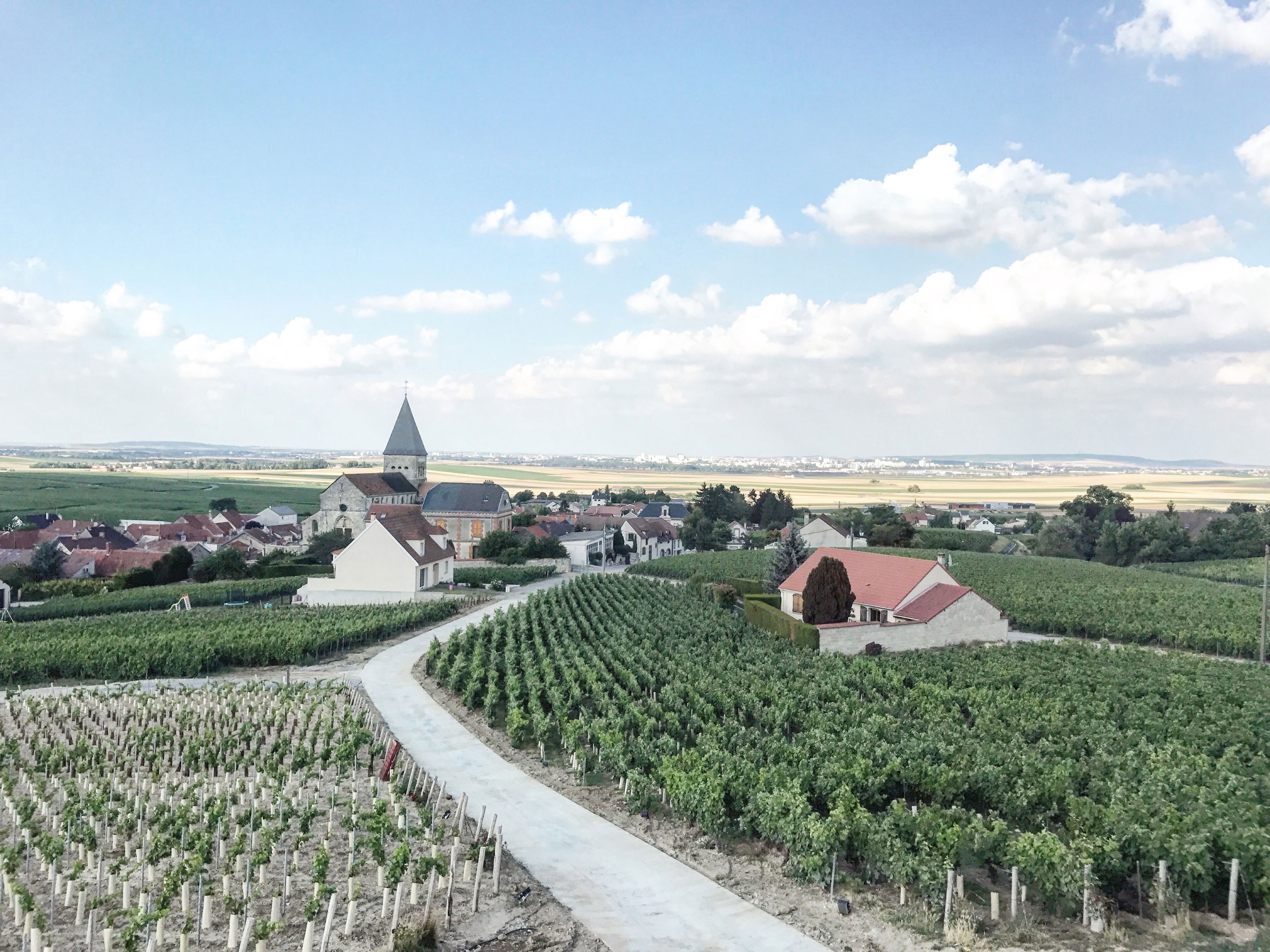 Is Champagne Hill worth the visit? Read real reviews and traveler experiences before planning your trip.