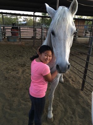 Looking to buy twin l performance horses? Here are tips for choosing the right one!