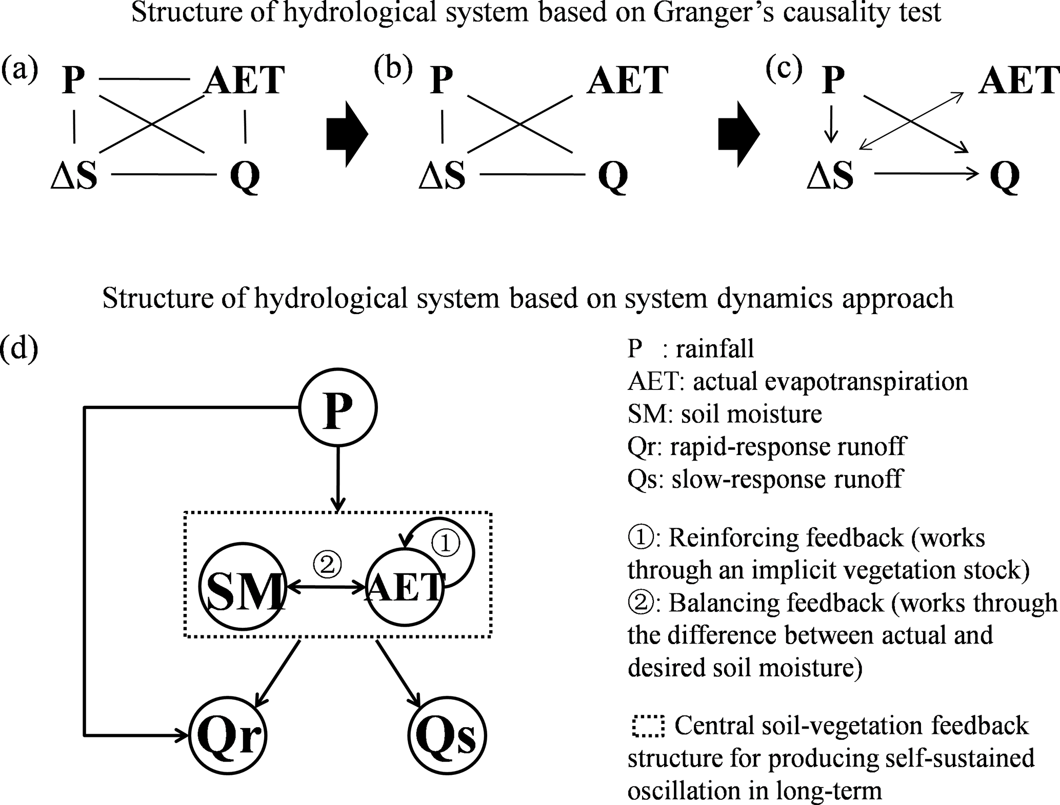 TJ Hess: Understanding the Basics in Simple Terms