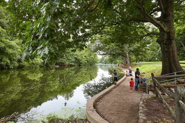 Living Near Echo Lake New Jersey: Real Estate and Community