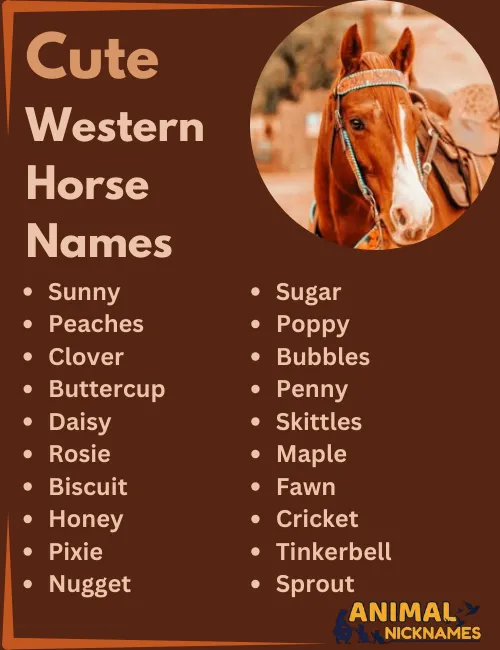 Cool Old West Horse Names: Find the Perfect Name Now