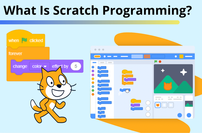 What Does Learning Programming Scratch to Scratch Mean? Understand the Basics With This Easy Guide.