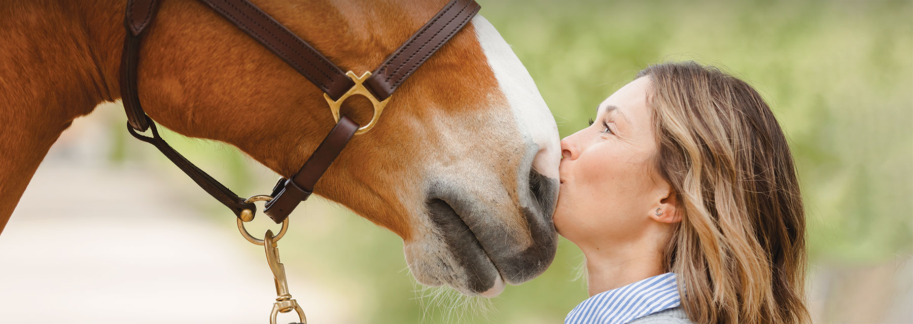 Where can I find more on Finder the horse? Check out these simple resources for his full biography.