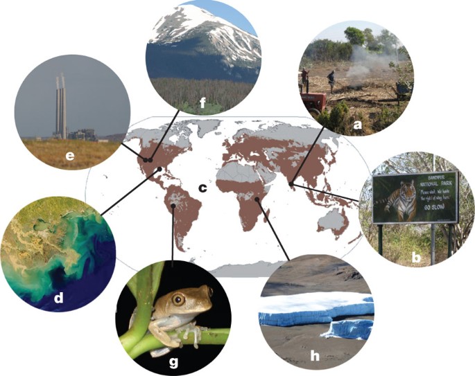 What were the biggest changes from 2012 - 1982? Exploring the key shifts over thirty years.