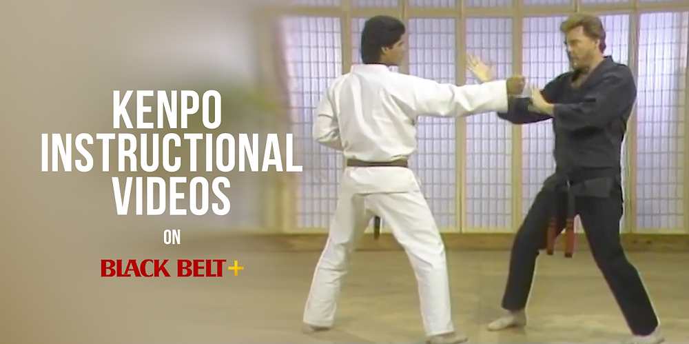 Lets discuss is Kenpo effective: Examining the key principles that make it work for some people.