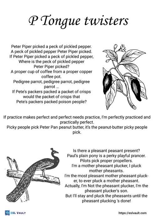 Easy Tongue Twister with P: Pollys Perfect Parrot Practice