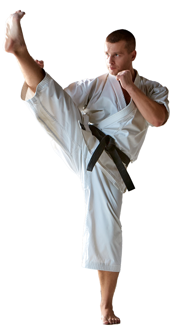 Lets discuss is Kenpo effective: Examining the key principles that make it work for some people.