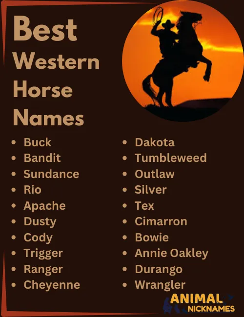 Cool Old West Horse Names: Find the Perfect Name Now
