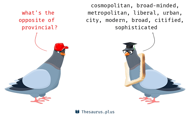 Looking for the opposite of provincial? Learn very simple terms like cosmopolitan and sophisticated fast.