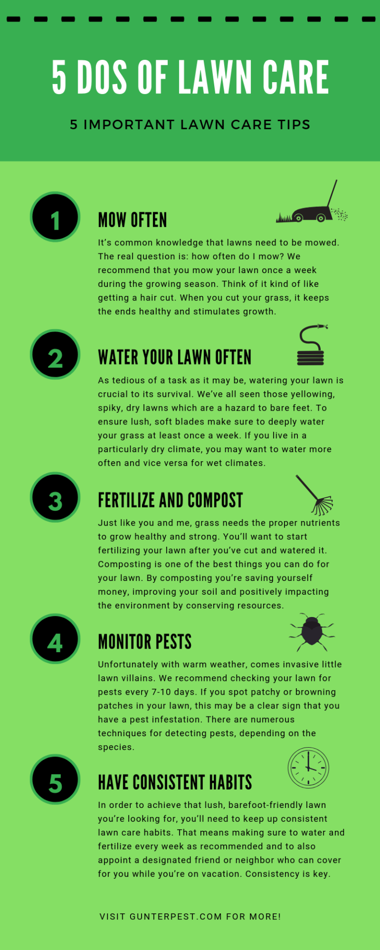 What lawn treatments does Ts Lawn Care do? Learn about all the Ts Lawn Care solutions.