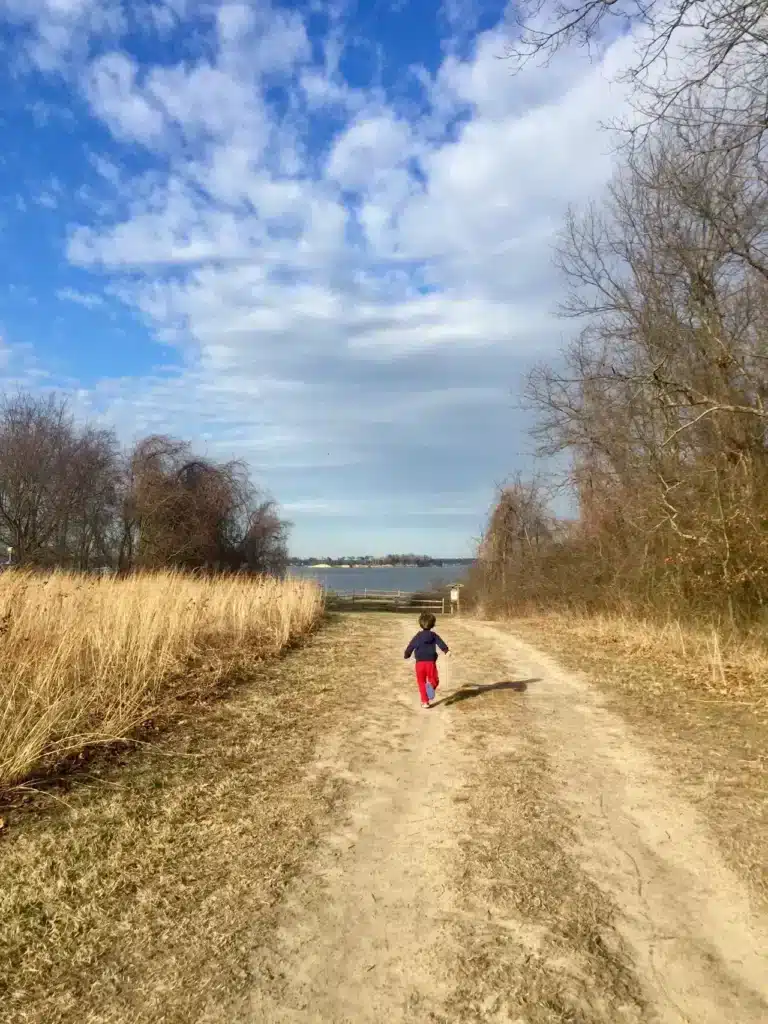 Is Spriggs Farm Park great for kids? (Tips for a fun family day out at this amazing park)