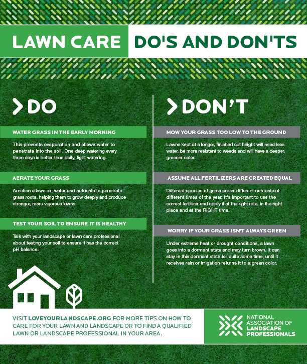 What lawn treatments does Ts Lawn Care do? Learn about all the Ts Lawn Care solutions.
