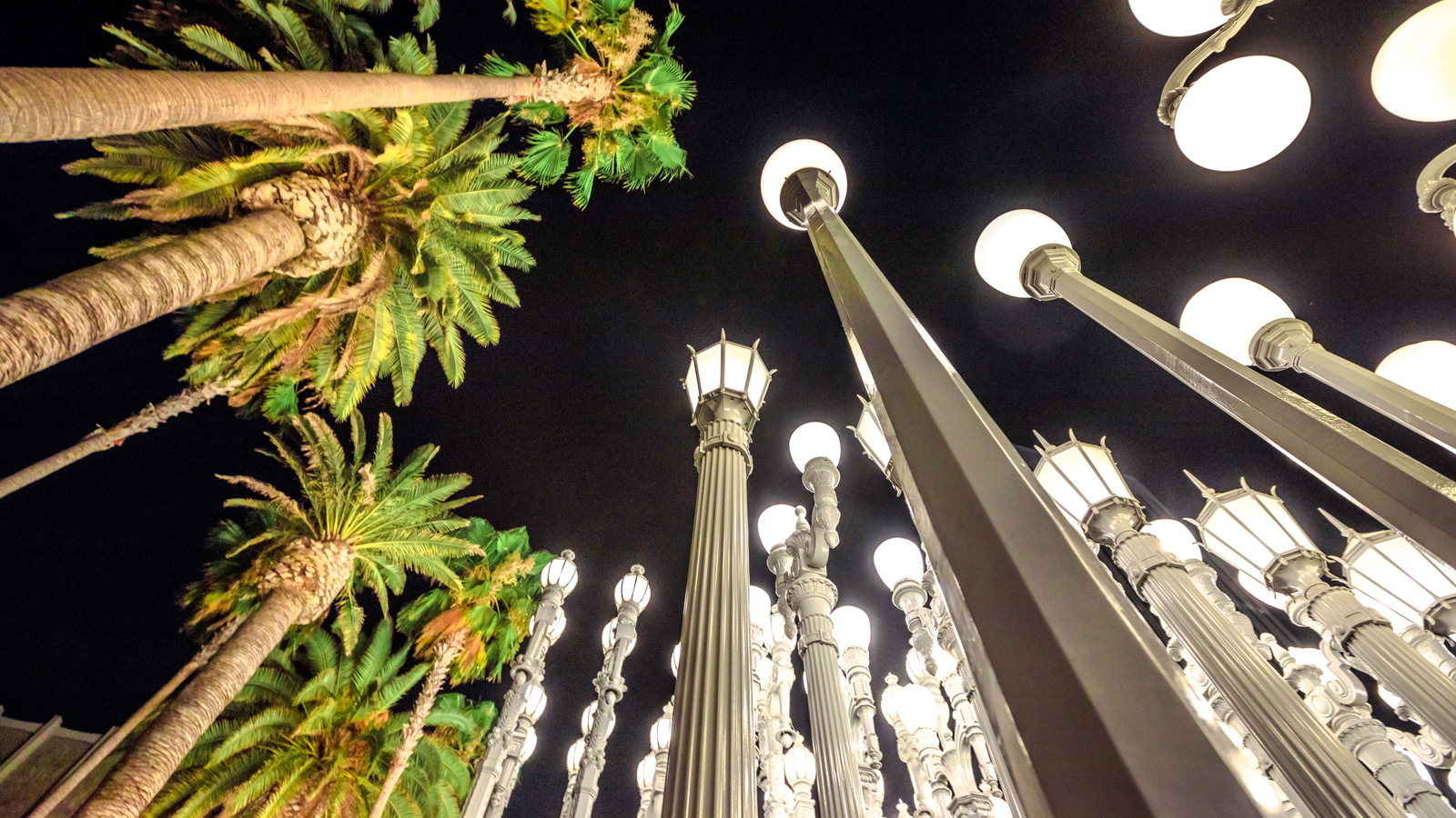 What do images of los angeles at night show? Experience the dazzling lights and famous spots.