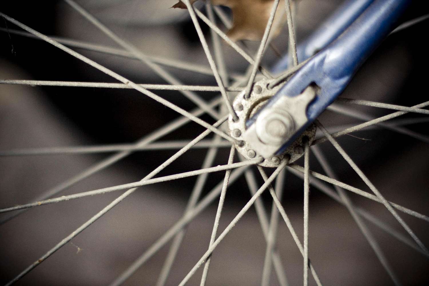 What is a spoke on a bike? Learn why this small part is so very important for cycling.