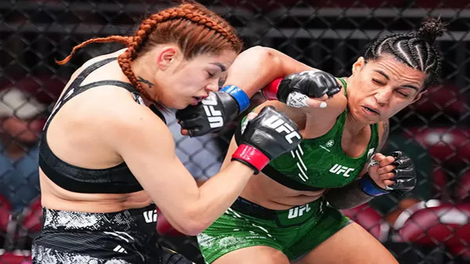 Indian MMA fighters in UFC: A simple guide to understanding who is competing from India.
