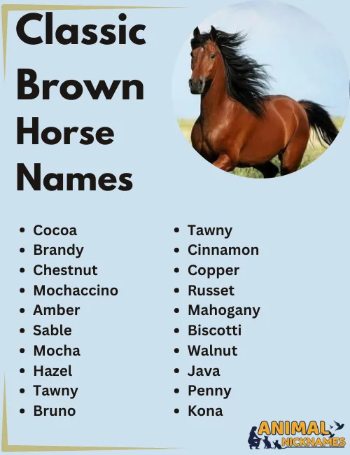 What are good horse names (Find creative and meaningful suggestions that perfectly suit your new horse).