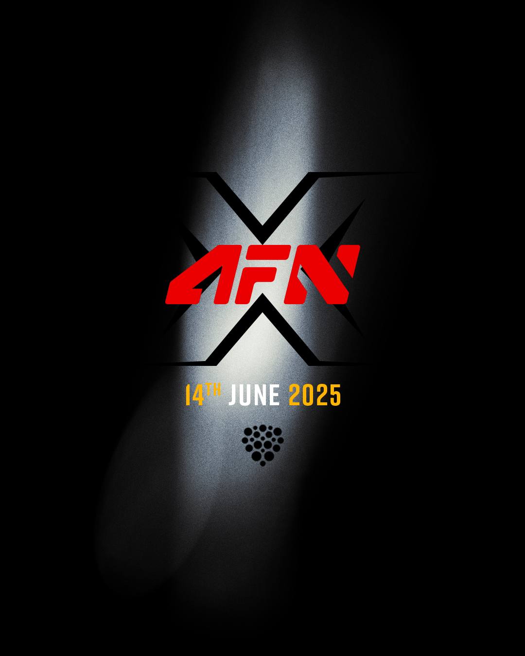 What exactly is AFN MMA? (Get the simple facts about this exciting fight organization)