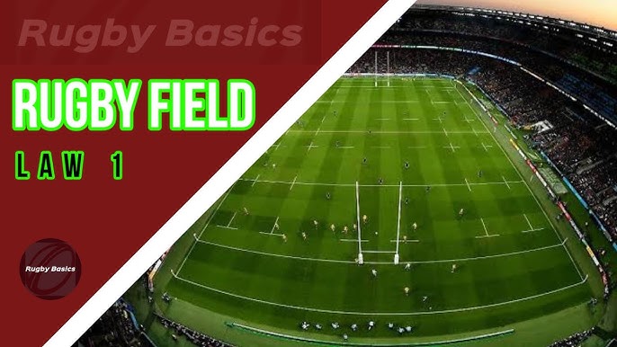 Lines on a rugby field explained simply (Understand the game better with this easy guide)