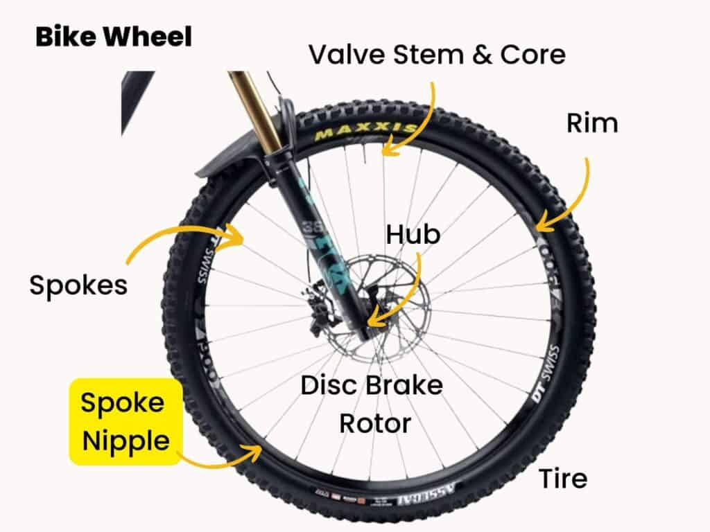 What is a spoke on a bike? Learn why this small part is so very important for cycling.