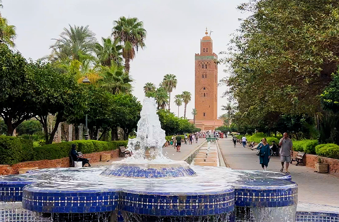 Finding the best tour guide marrakech? (Ask these important questions before you decide!)