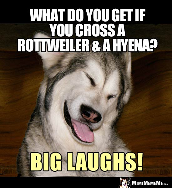 Want to tell the pass me the up dog joke well? (Use these 3 tips to get big laughs)