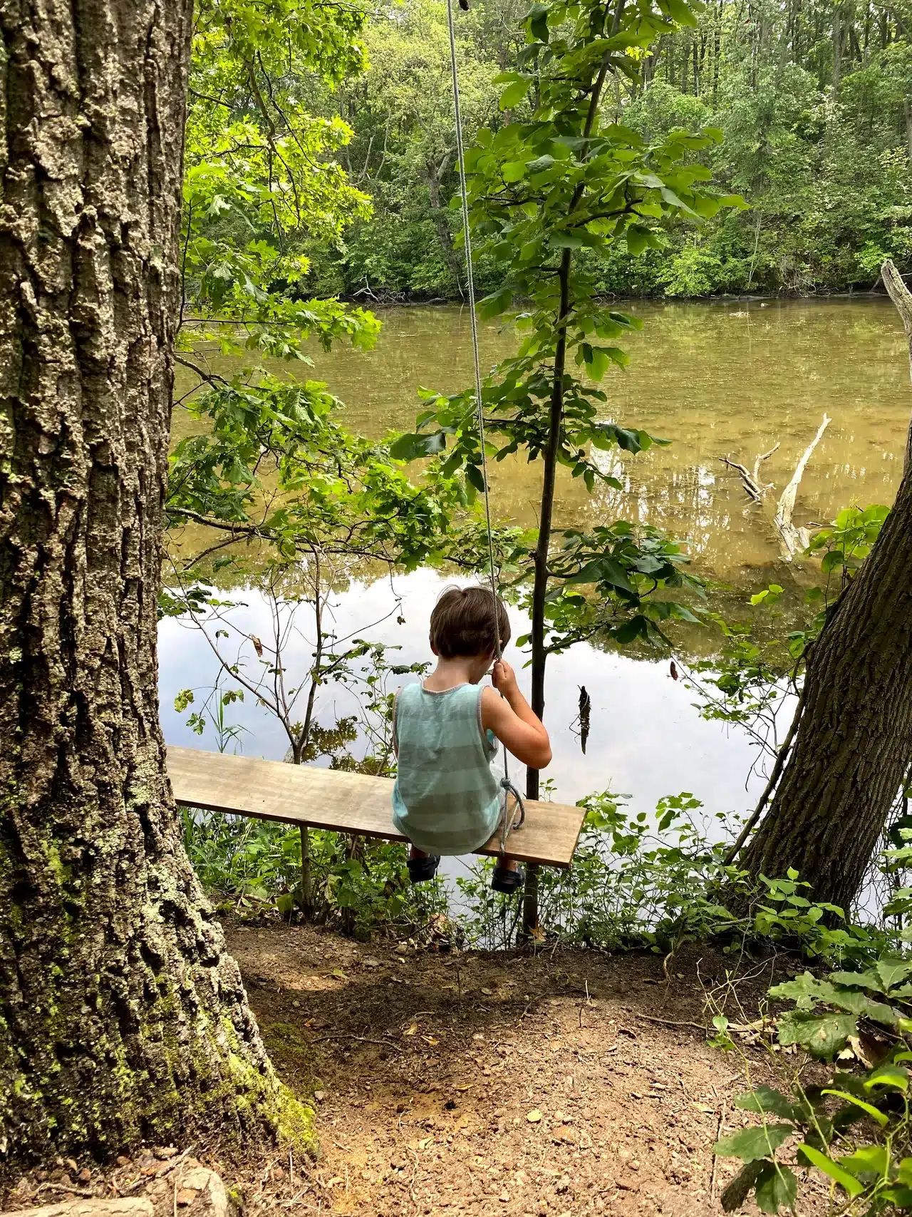 Is Spriggs Farm Park great for kids? (Tips for a fun family day out at this amazing park)