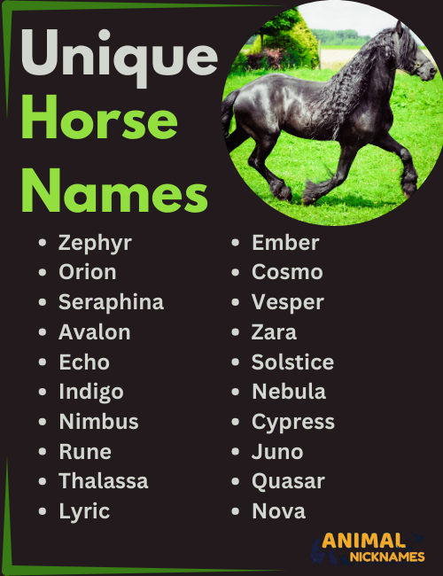 What are good horse names (Find creative and meaningful suggestions that perfectly suit your new horse).