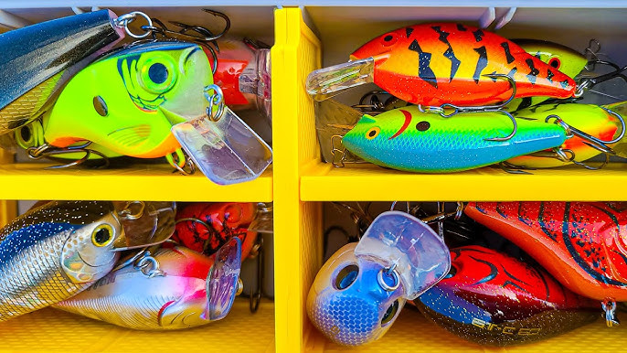 Can a shiny lure help you catch fish in muddy water? Yes, and here's how to do it.