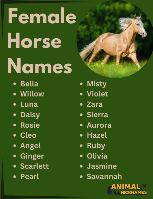 What are good horse names (Find creative and meaningful suggestions that perfectly suit your new horse).